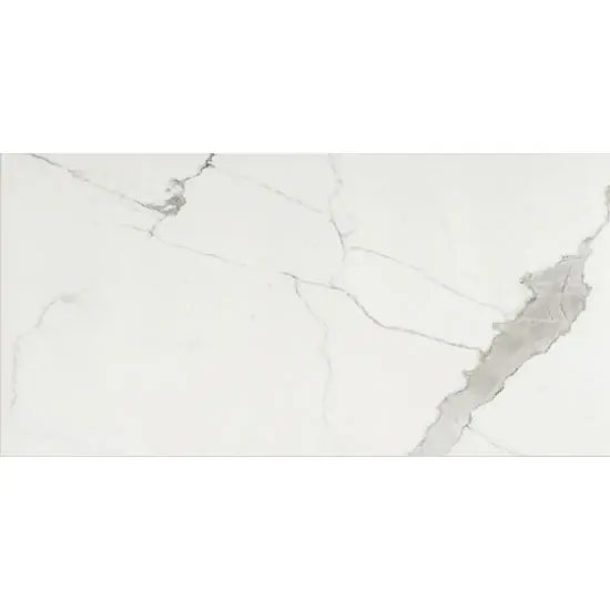 Betrouwbaar Florim Timeless 744884 Vloertegel 600X1200 Calacatta 9Mm Glans Ret.