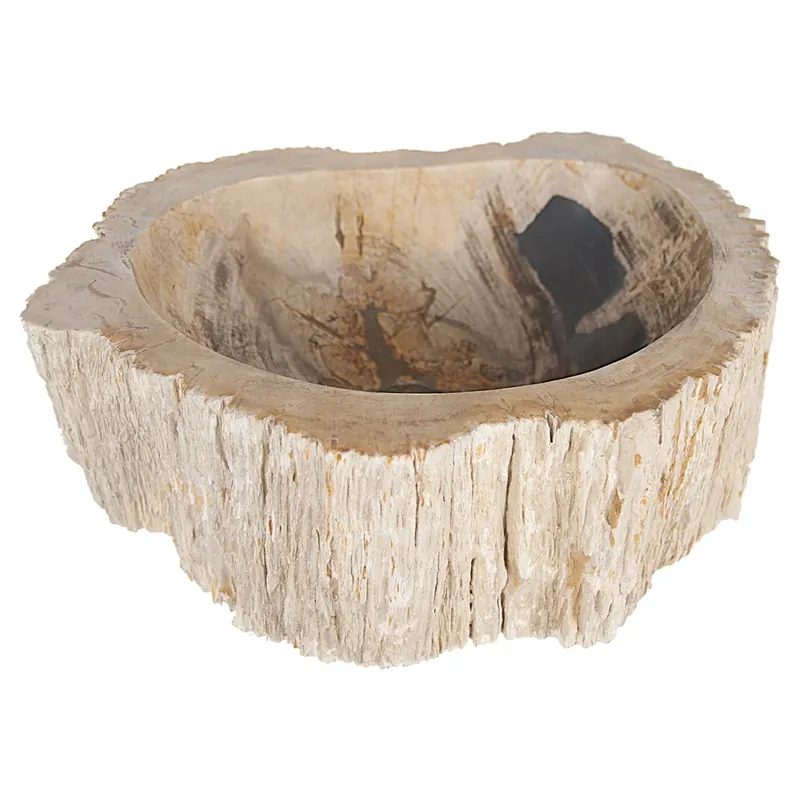 Differnz Fossil opzetwaskom hout | Ø 45 x 12 cm Op = Op