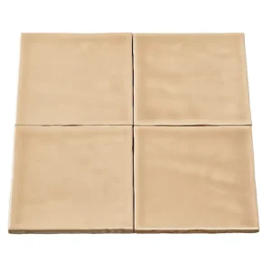 DTG Handvorm Zin Cotto Tegel 10x10 cm | Beige/Oranje | Per stuk Betrouwbaar