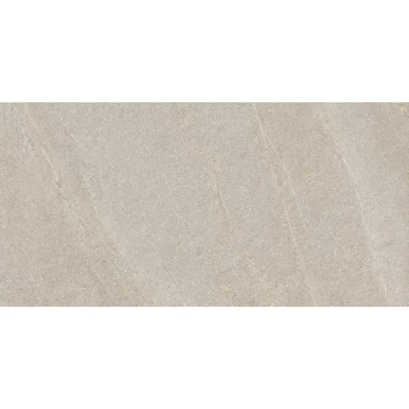 Favoriet Serenissima Eclettica 1081675 Vloertegel 600X1200 Argento 9,5mm Mat Ret.R10