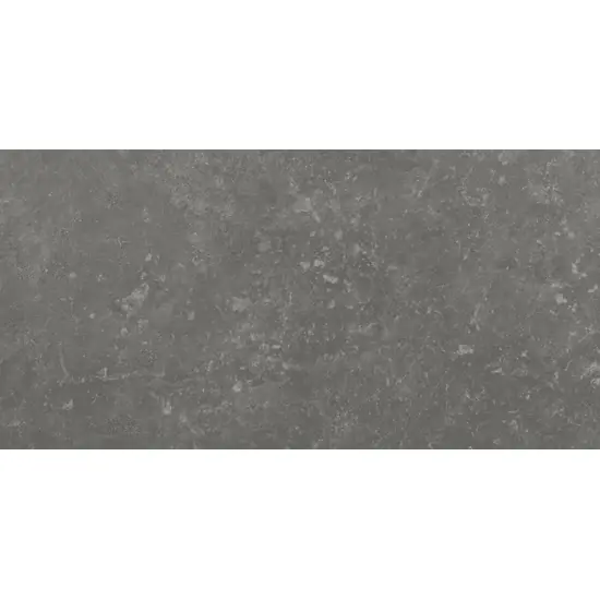 Beperkt Aanbod Emil Chateau EFL8 Vloertegel 400X800 Noir 9,5mm Mat Ret.R9,5