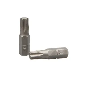 Gecertificeerd Torx bit T25 (5stuks)