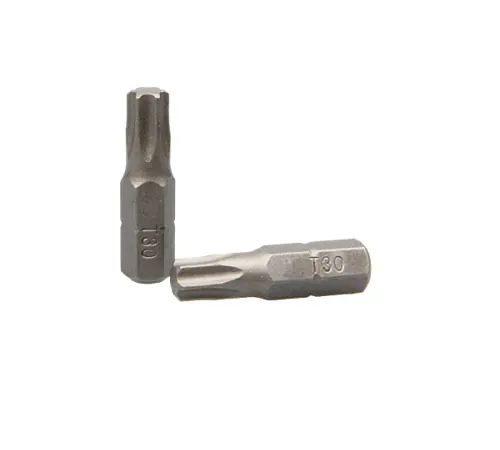 Gecertificeerd Torx bit T25 (5stuks)