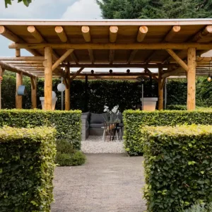 Douglas ronde palen veranda met pergola Apeldoorn 770x540cm Beste Prijs