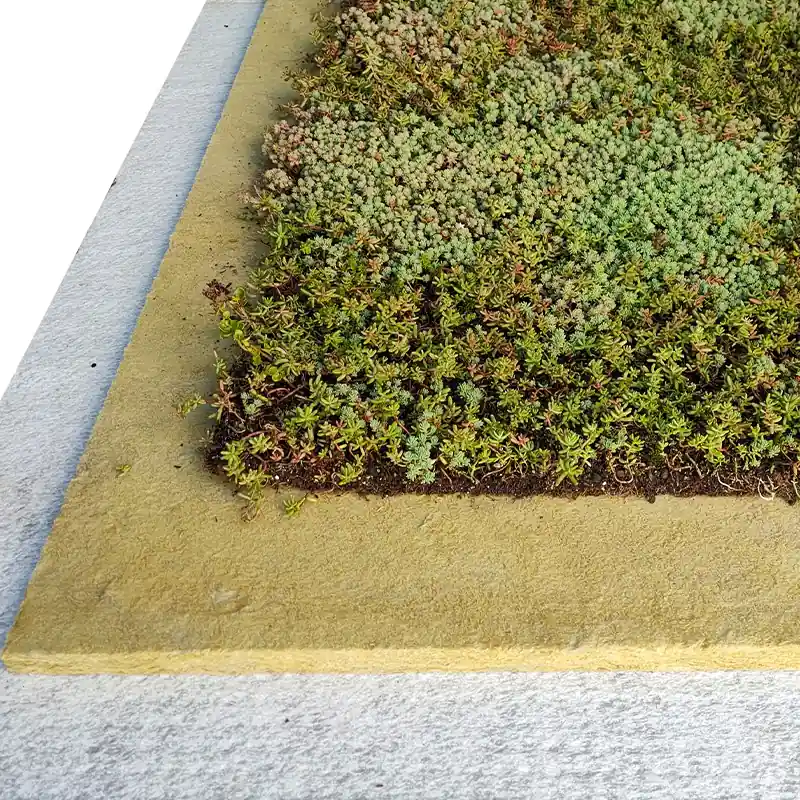 Weekendaanbieding Lichtgewicht groen dak (per m²) set