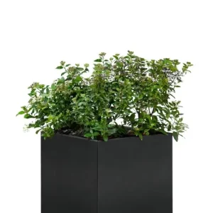 Rechtstreeks Van De Fabrikant Bloembak Mohawk, zwart gepoedercoat staal 50 x 90 x 50cm
