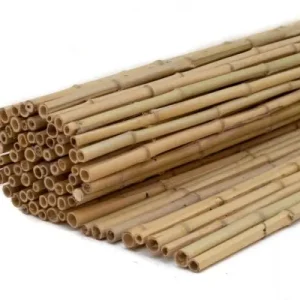 Rechtstreeks Van De Fabrikant Bamboe op rol blank 150x180cm