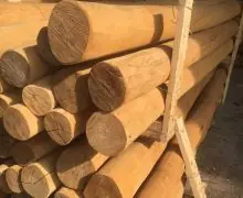 Robinia spintvrij geschuurd 16/18 600cm Alleen Vandaag