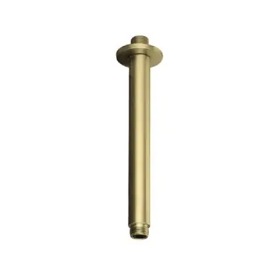 Douchearm plafonduitloop rond geborsteld goud 20cm Weekendaanbieding