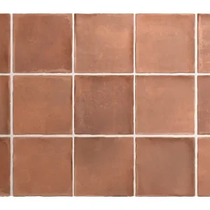 Tegels handvorm Allegre Cotto 10x10cm Merkproduct