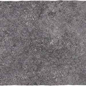 Tegels Belgium Stone Gris 30x50cm Beste Prijs