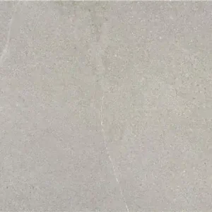 Tegels Dallstone Stone 60x120cm Gepolijst Shop Nu