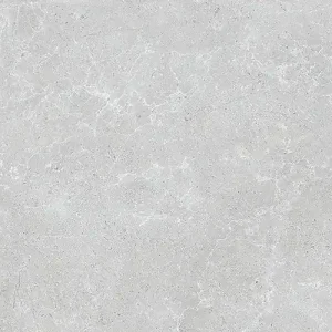 Nu Kopen Tegels hauteville grey rc 60x120 cm