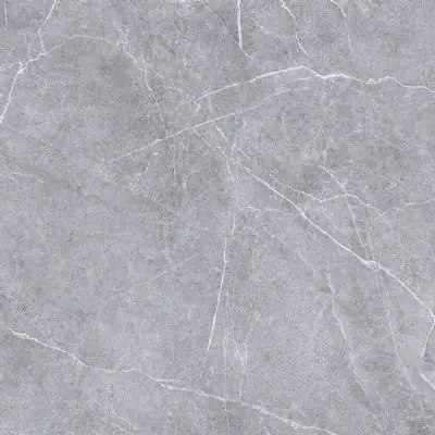 Laatste Versie Tegels Moon dark grey smooth 60x60 cm