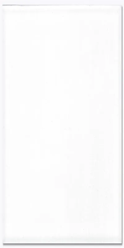 Speciale Aanbieding Tegels super wit glans 29,8x59,8 cm (sample)
