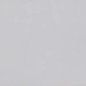 Populair Tegels handvorm Vilora White 6,5x13,2cm