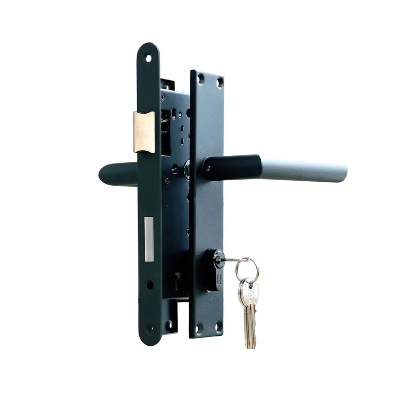 Set voor tuindeuren RVS PC72 lang schild zwart 72×165 mm Veilige Betaling