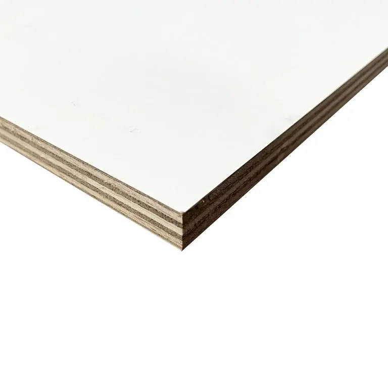 Favoriet Multiplex paintfilm wit/wit 18 mm 153×310 cm