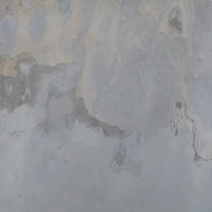 Gecertificeerd Natural Stone Veneer Forest