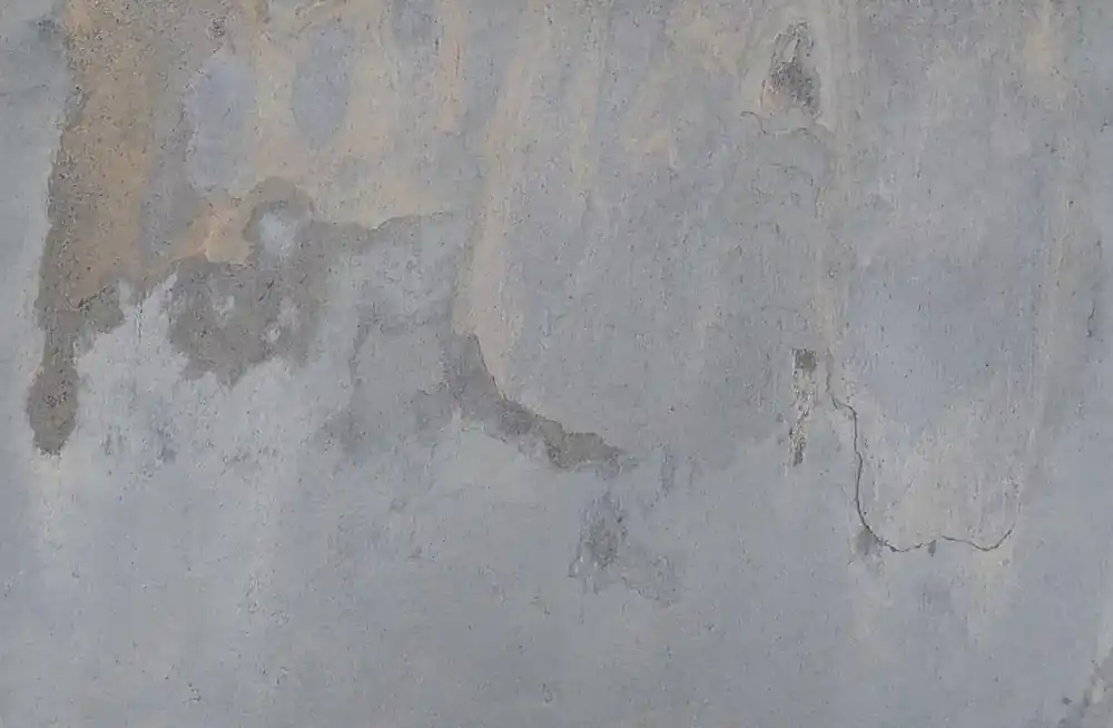 Gecertificeerd Natural Stone Veneer Forest