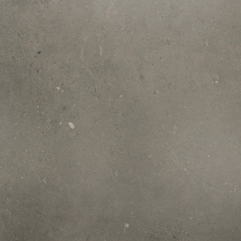 Nieuw Fossil Dark