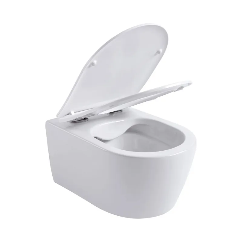 WC-PAPIER ROLHOUDER CHROOM Premium