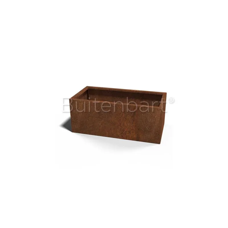 Alleen Vandaag Cortenstaal Plantenbak Rechthoek 50x100cm, hoogte 60cm