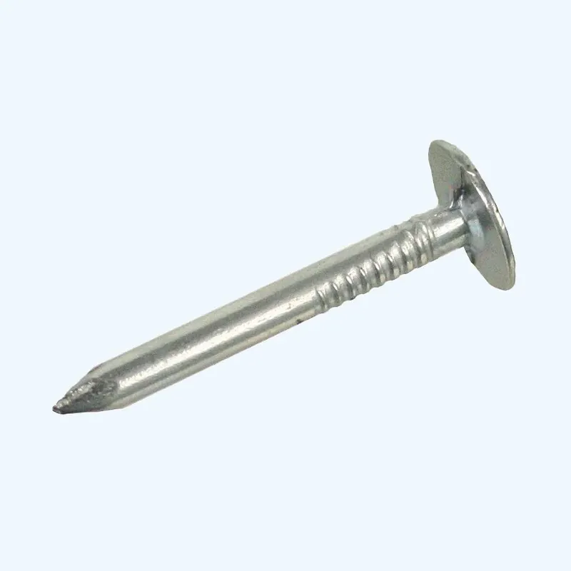 Superprijs Asfaltnagels 3,0 x 20 mm 5 kg bestellen