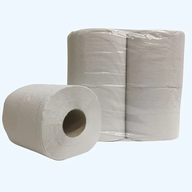 Koop Vandaag 4 rollen EcoTools toiletpapier 2-laags kopen