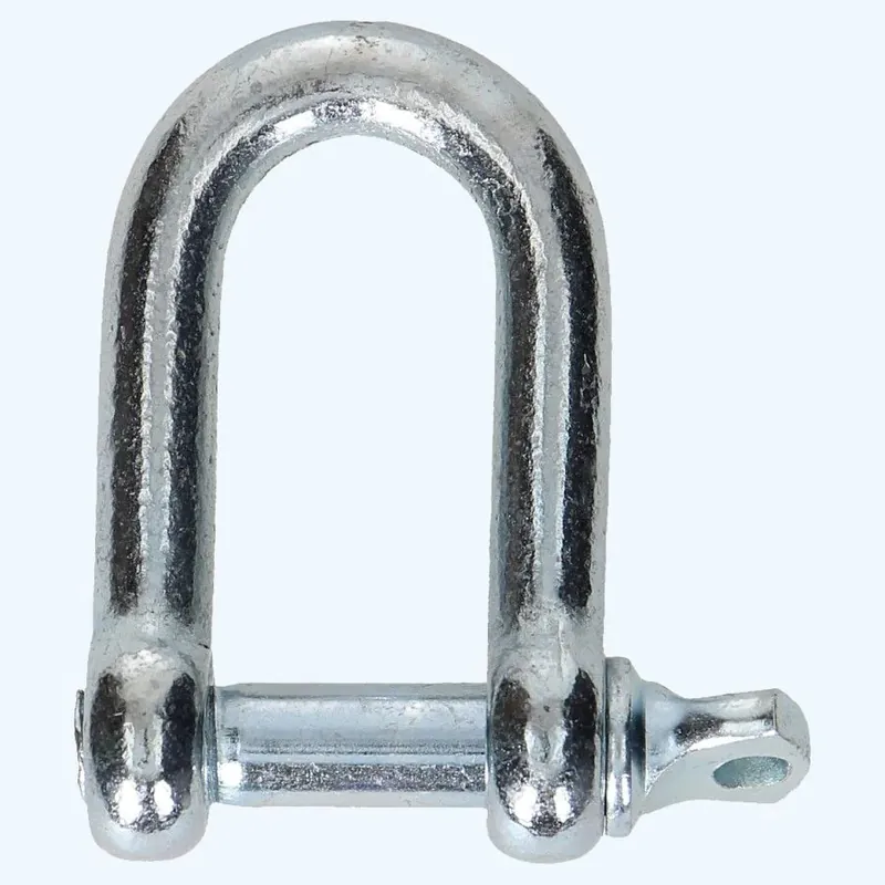 Meest Verkocht D-sluiting 10 mm verzinkt online bestellen