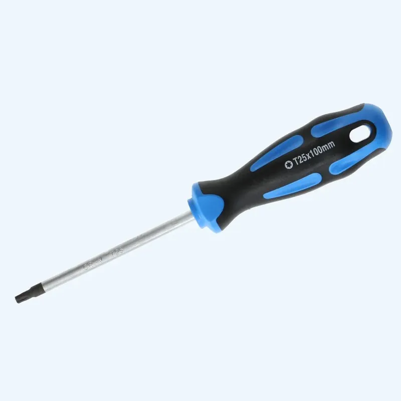 Schroevendraaier Torx 25 x 100 mm bestellen Lage Prijs