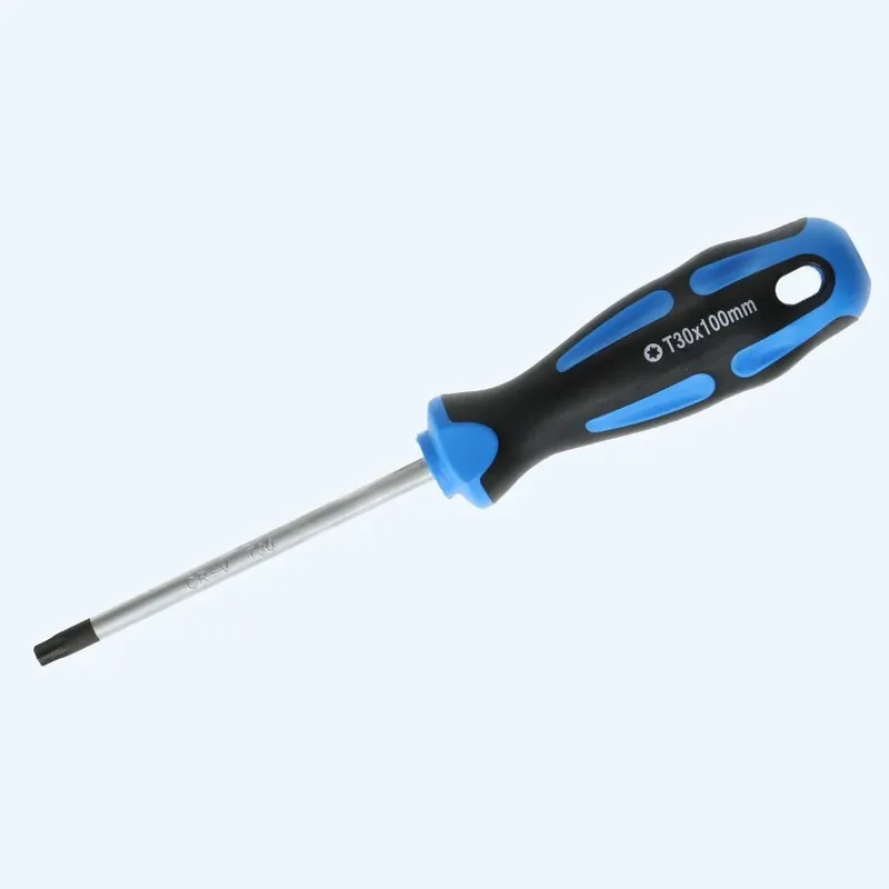 Merkproduct Schroevendraaier Torx 30 x 100 mm bestellen