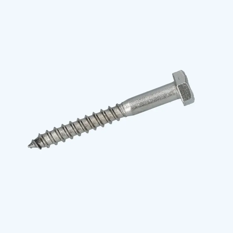 50 stuks houtdraadbout 10 x 50 mm RVS A2 Direct Beschikbaar