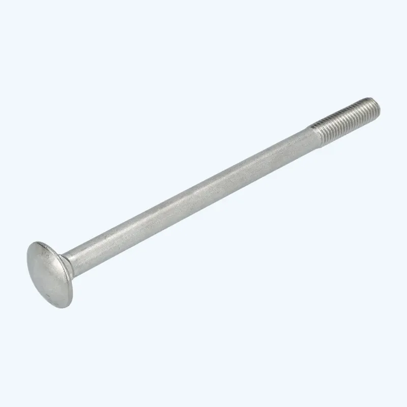 20 stuks slotbout M10 x 160 mm RVS A2 Speciale Aanbieding