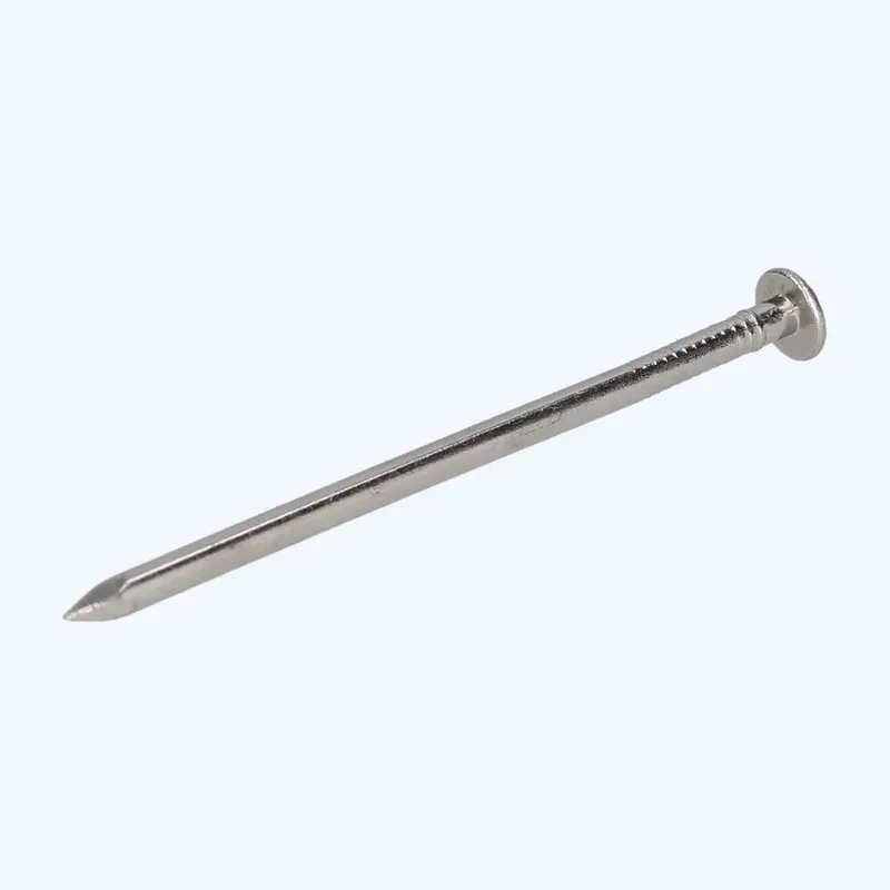 Weekendaanbieding RVS draadnagels 3,0 x 65 mm 1 kg kopen
