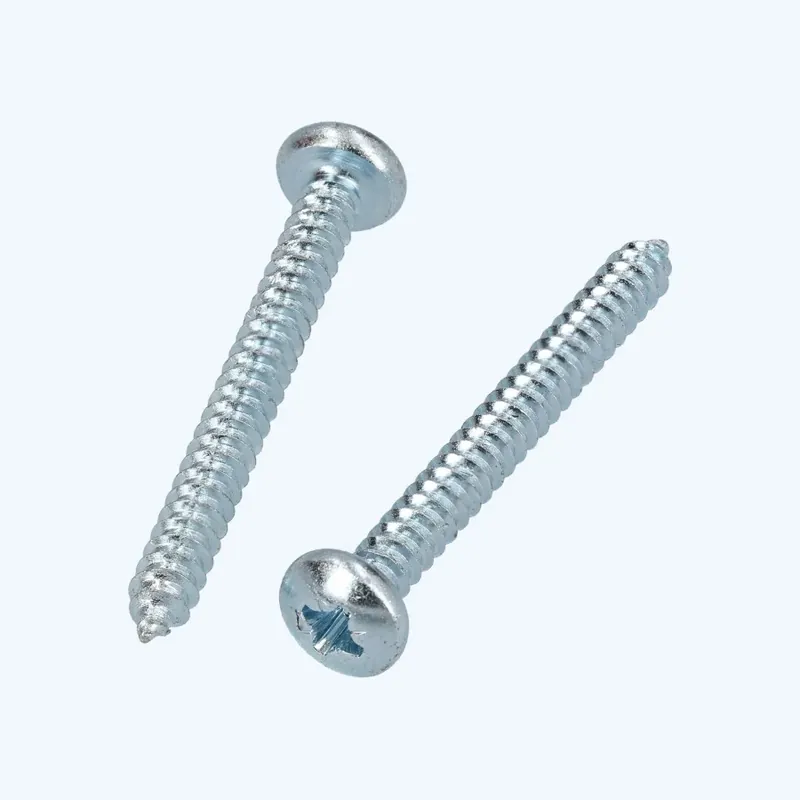 Verzinkte plaatschroeven cilinder bolkop 5,5 x 50 mm Gecertificeerd