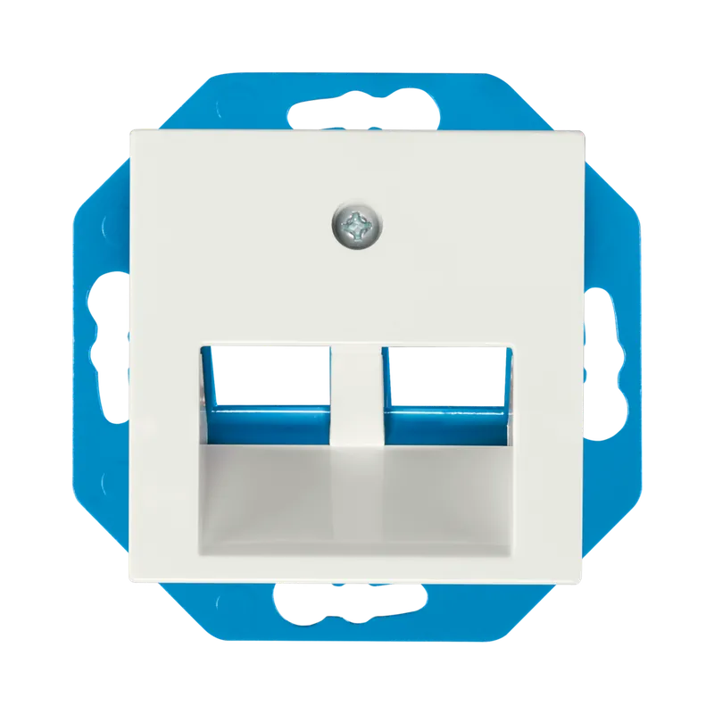 ION Industries Modular Jack 30° 2-voudig met Centraalplaat V1/J1 Alpin Wit Superprijs