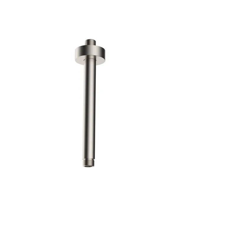Wiesbaden Caral Douchearm met Plafondbevestiging - 30cm - Geborsteld RVS Gratis Retour