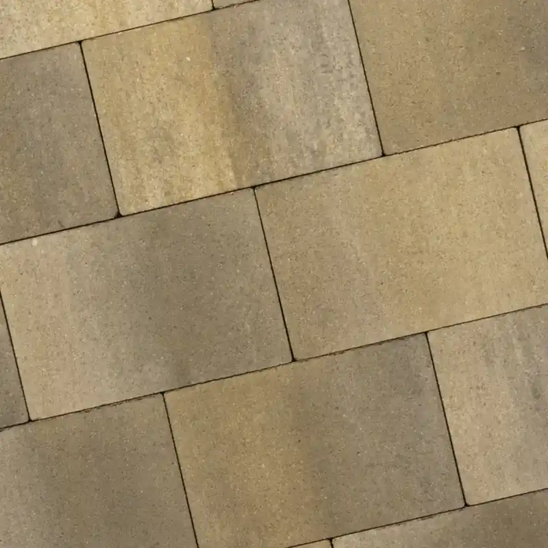 Recto Klein Wildverband 6 cm Sierra Madre Meest Verkocht
