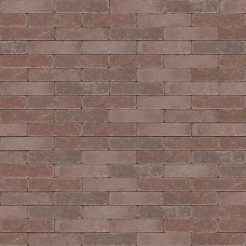 Trommel opritsteen 20x5x7 cm Antica rood bruin Actieprijs