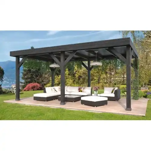DHZ overkapping Rijssen zwart douglas 600x400 cm Favoriet