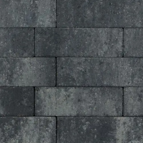 Longstone opritsteen 31,5x10,5x7 cm grijs zwart Nieuw