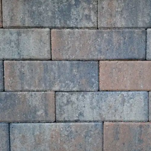 Longstone opritsteen 31,5x10,5x7 cm tricolore Nu Kopen