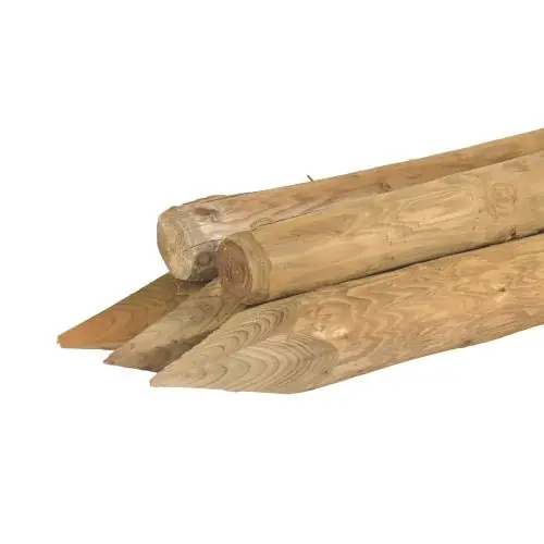 Actieprijs Boompaal vuren geschild kop groen geïmpregneerd Ø9x250 cm