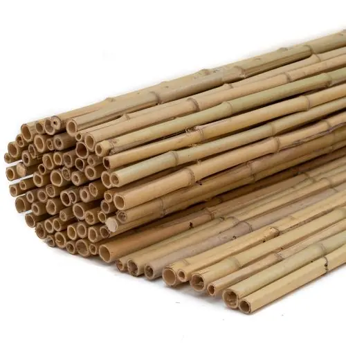 Bamboe rolscherm Dalian 100x180 cm Betrouwbaar