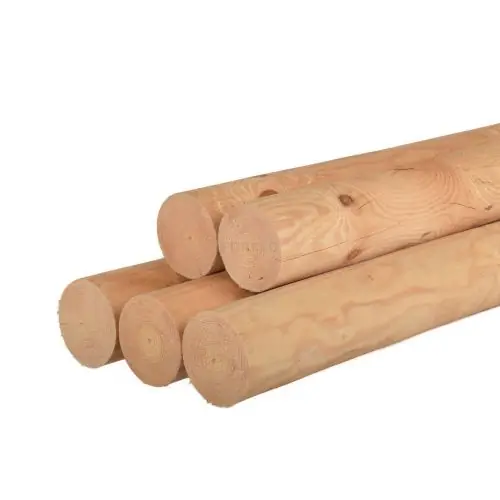 Alleen Vandaag Ronde paal vuren gefreesd Ø18x500 cm haaks