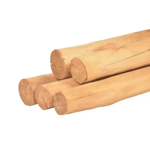 Ronde paal robinia spintvrij geschuurd Ø10-14x250 cm Gereduceerde Prijs