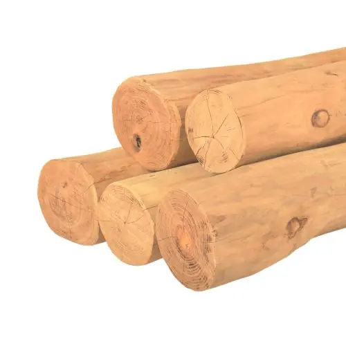 Premium Ronde paal robinia spintvrij geschuurd Ø15-19x300 cm