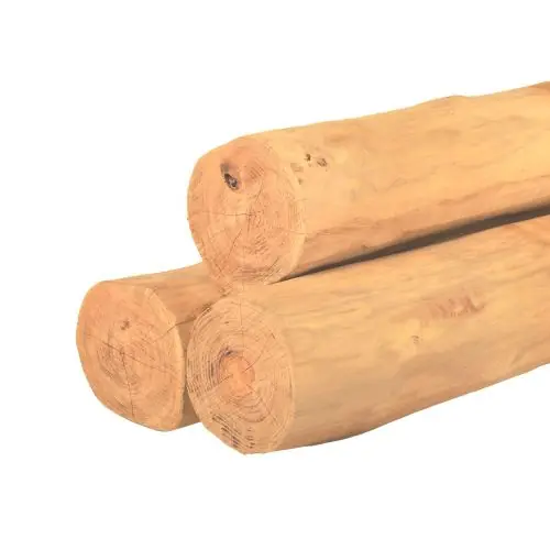 Seizoensaanbieding Ronde paal robinia spintvrij geschuurd Ø20-24x550 cm