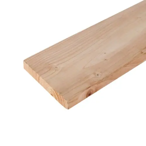 Uitverkoop Tuinplank douglas geschaafd 1,6x14x180 cm 103076